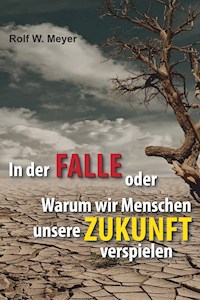In der Falle - Rolf W. Meyer - ebook