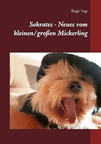 Sokrates - Neues vom kleinen/großen Mickerling - Birgit Vogt - ebook