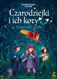 Czarodziejki i ich koty. Magia, gafy i spółka - Catherine Kalengula, Michał Goreń (tłum.), Faltazius (ilustr.) - książka