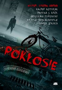 Pokłosie - Darda Stefan, Kotulak Kacper, Król Paulina, Turowski Jarosław, Wojciechowicz Juliusz, Zychla Marek - książka