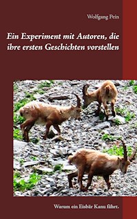 Ein Experiment mit Autoren, die ihre ersten Geschichten vorstellen - Wolfgang Pein - ebook