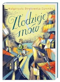 Złodzieje snów - Małgorzata Strękowska-Zaremba - książka