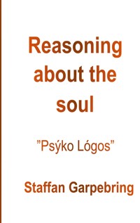 Reasoning about the soul - Staffan Garpebring - ebook