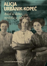 Anioł w domu mrówka w fabryce - Alicja Urbanik-Kopeć - książka