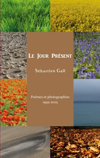 Le Jour Présent - Sébastien Gall - ebook