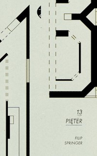 13 pięter - Filip Springer - ebook + książka