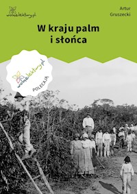 W kraju palm i słońca - Artur Gruszecki - ebook