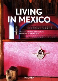 Living in Mexico - Rene Stoeltie & Barbara - książka