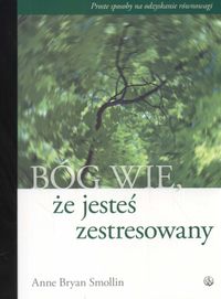 Bóg wie że jesteś zestresowany - Smollin Anne Bryan - książka