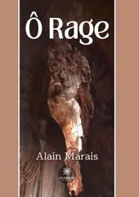 Ô Rage - Alain Marais - ebook