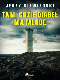 Tam, gdzie diabeł ma młode - Jerzy Siewierski - ebook + audiobook