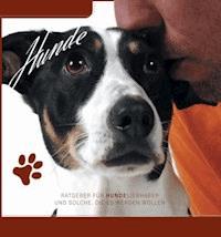 Ratgeber für Hundeliebhaber - Thomas Meinen - ebook