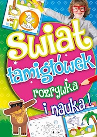 Świat łamigłówek rozrywka i nauka -  - książka
