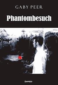 Phantombesuch - Gaby Peer - ebook