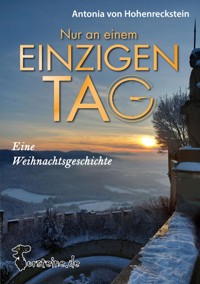 Nur an einem einzigen Tag - Oliver Grudke - ebook