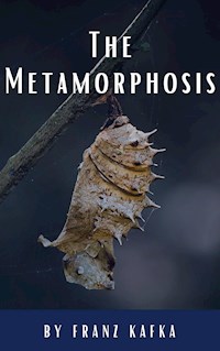 The Metamorphosis - Franz Kafka - ebook