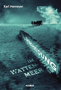 Entscheidung im Wattenmeer - Karl Hemeyer - ebook