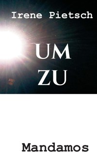 UM ZU - Irene Pietsch - ebook