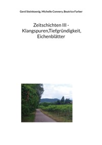 Zeitschichten III - Klangspuren,Tiefgründigkeit, Eichenblätter - Gerd Steinkoenig - ebook