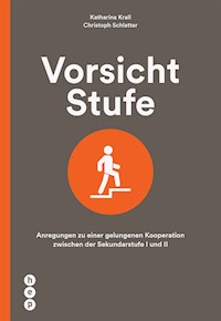 Vorsicht Stufe (E-Book) - Christoph Schlatter - ebook