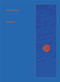 Raptularz - Urszula Kozioł - ebook + książka