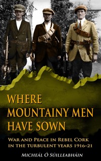Where Mountainy Men Have Sown:War and Peace in Rebel Ireland 1916–21 - Micheál Ó Suilleabháin - ebook