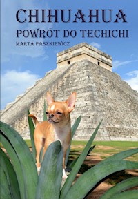 Chihuahua powrót do techichi - Marta Paszkiewicz - książka