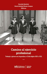 Camino al ejercicio profesional - Graciela Queirolo - ebook