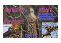 Das Jahr der Milane 2 - Jochen Walz - ebook