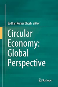Circular Economy: Global Perspective -  - ebook