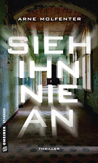 Sieh ihn nie an - Arne Molfenter - ebook