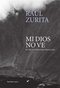 Mi Dios no ve - Raúl Zurita - ebook
