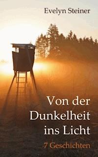 Von der Dunkelheit ins Licht - Evelyn Steiner - ebook