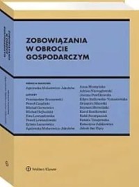 Zobowiązania w obrocie gospodarczym -  - książka