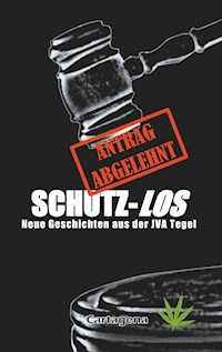 Schutz-Los -  - ebook