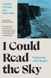 I Could Read the Sky - Timothy O'Grady - ebook