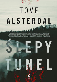 Ślepy tunel - Tove Alsterdal - książka