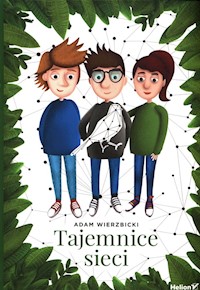 Tajemnice sieci - Wierzbicki Adam - książka