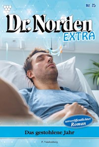 Das gestohlene Jahr - Vandenberg Patricia - ebook