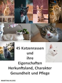 45 Katzenrassen und ihre Eigenschaften, Herkunftsland, Charakter, Gesundheit und Pflege - Martina Kloss - ebook