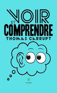 Voir et comprendre - Thomas Carrupt - ebook