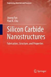 Silicon Carbide Nanostructures - Jiyang Fan - ebook