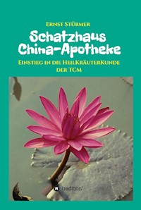 Schatzhaus China-Apotheke - Ernst Stürmer - ebook
