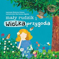 Mały rudzik i wielka przygoda - Elżbieta Pałasz - książka