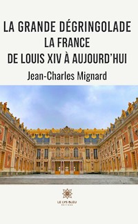 La grande dégringolade - Jean-Charles Mignard - ebook