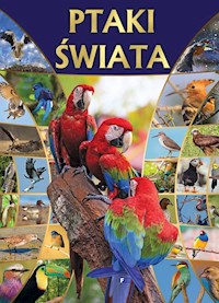 Ptaki świata -  - książka