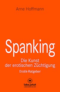 Spanking | Erotischer Ratgeber - Arne Hoffmann - ebook