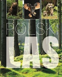 Polski Las - Kapusta Joanna, Kapusta Piotr - książka
