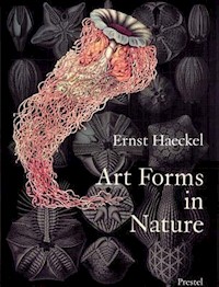 Art Forms in Nature Prints of Ernst Haeckel -  - książka