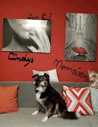 Cindys Memoiren - Jan Paul - ebook